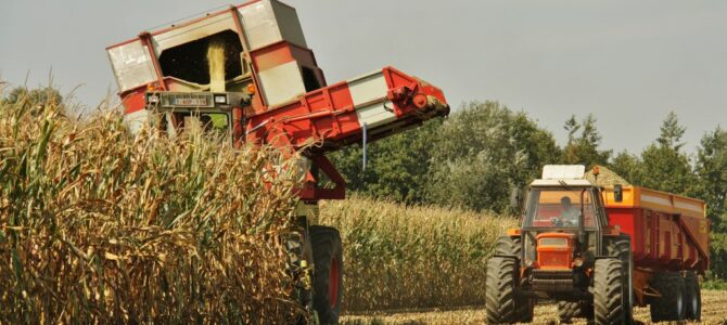 Loonw. Leeuwerck – Dikkebus en Landb. Debyser – Woesten